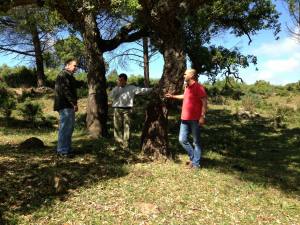 Visita Montes Veredas Corcho (1280x960)