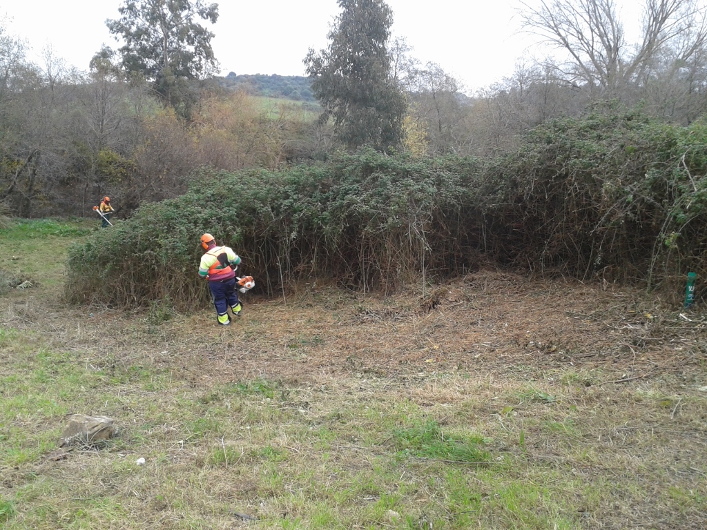 Plan de choque P. Caramelo 2015 39 (1024x768)