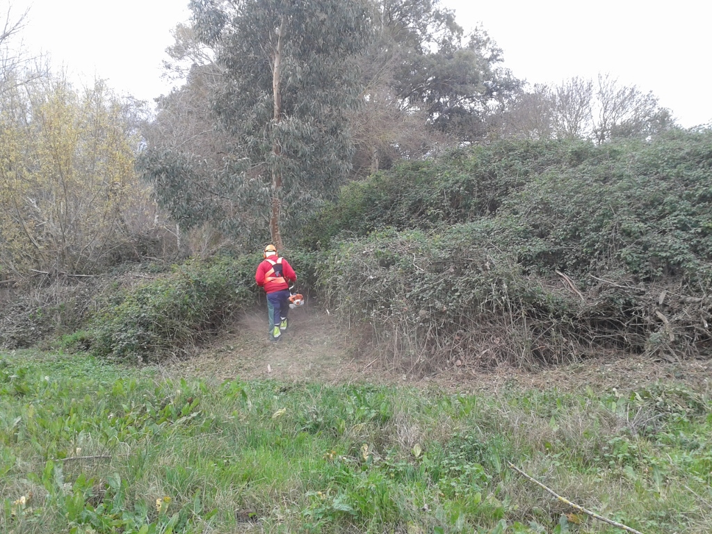 Plan de choque P. Caramelo 2015 4 (1024x768)