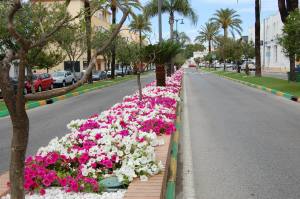 ayto lb w avenida flores 051