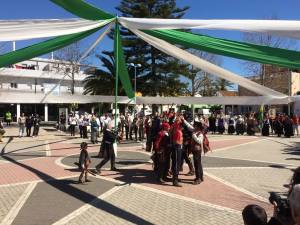 IMG_6563 (1024x768)