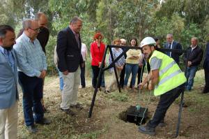 ayto pasarela primera piedra 0067